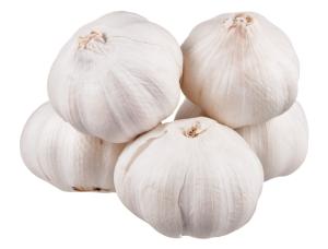 Wholesale white garlic: Cheap Price Fresh New White Garlic Sale