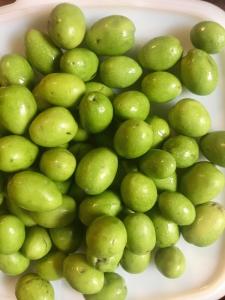 Wholesale pickled: Wholesale Good Quality Fresh Olives Black/Brown/Red/Green OLIVES for CONSUMPTION
