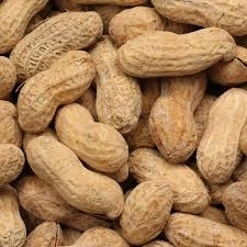 Peanuts Nuts in Shell Bulk Wholesale Peanut