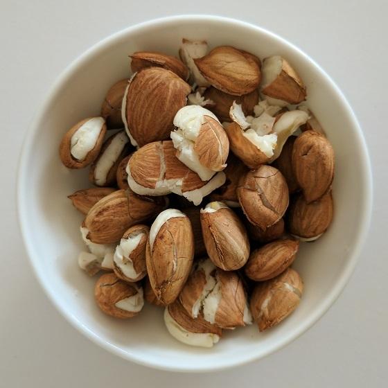 100% Organic Apricot Kernel Available At Best Price
