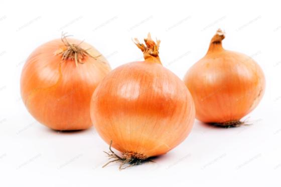 Fresh Yellow Onion Natural Cheap High Quality