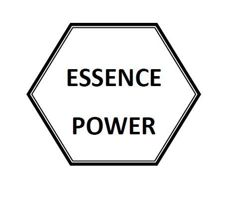 Shanghai Essence Power International Trading Co., Ltd.