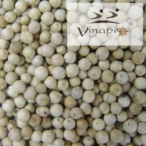 Wholesale seeds: White Lotus Seed