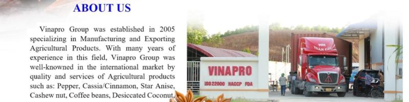 Vinapro Group
