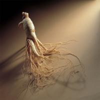 Ginseng Extract Powder
