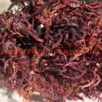 Best Quality - Wildcrafted Purple Sea Moss for Making Sea Moss Gel/ Sea_moss