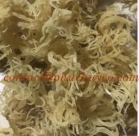 Dried Super Sea Moss (No Salt, No Impurity) for Gel