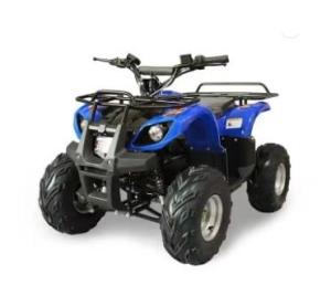 Wholesale bikes: Factory Supplier 48v / 60v 1500w Sports Quads Bikes Electric ATV with Cheap Price