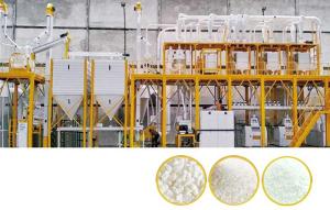 Wholesale maize milling plant: Complete Set of Maize Flour Milling Plant