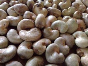 Wholesale nuts for sale: Raw Cashew Nuts for Sale