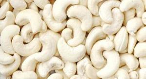 Wholesale available stocks: Process Cashew Nuts for Sell WW32 WW240 WW180 Available in Stock