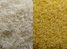 Wholesale parboil: Pakistan Basmati / Parboiled / Broken Rice
