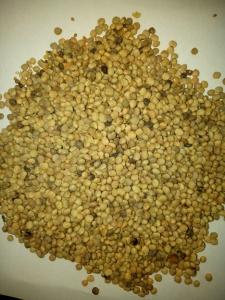 Wholesale Dried Food: Guar Gum Powder