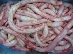 Wholesale horn: Salted Omasum, Beef Pizzles,Beef Ofals,Cow Horns