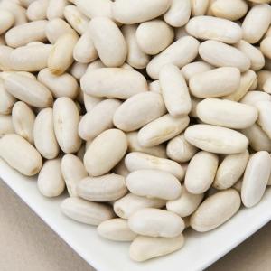 Wholesale Bean Products: Bulk 100% White Kidney Beans (Cannellini Beans)