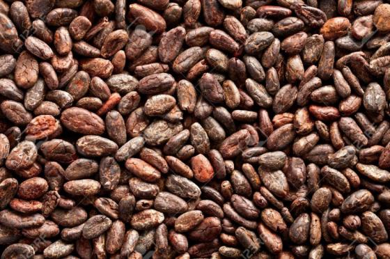 https://image.ec21.com/image/podolskiallen/oimg_GC09392697_CA10778302/Sun-Dried-Cocoa-Beans.jpg