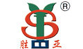 Shandong Shengya Machinery Co., Ltd.