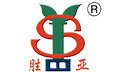 Shandong Shengya Machinery Co., Ltd. Company Logo