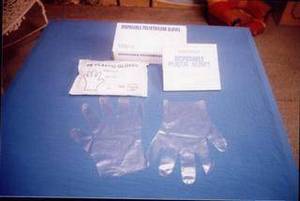 Wholesale pe bag: Disposable Poly PE LDPE HDPE CPE Glove,Gloves