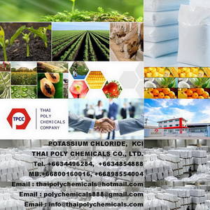 Wholesale water table monitoring: Potassium Chloride