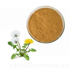 Wholesale natural vitamins minerals: Health Supplement Natural Dandelion Extract , Dandelion Extract