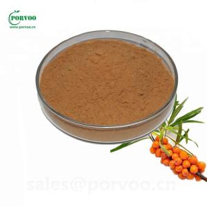 Wholesale Plant Extract: Sea Buckthorn Extract,Sea Buckthorn Factory, Hippophae Rhamnoides Extract for Skin Benefits