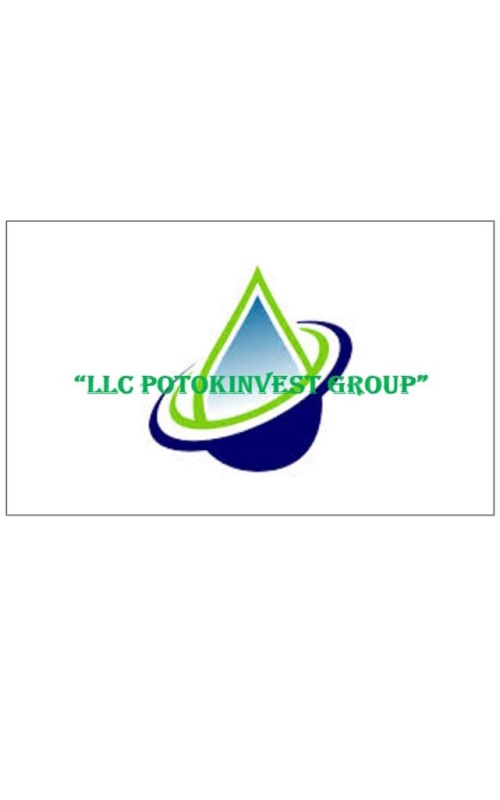 Llc Potokinvest Group Company Logo