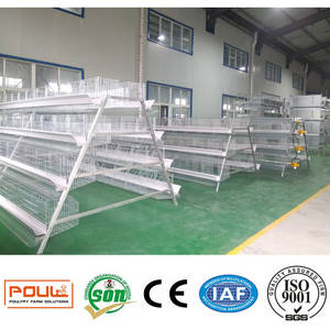 Wholesale automatic chicken layer cage: Automatic Layer Chicken Cage Equipment