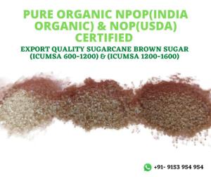 Wholesale sugar: USDA/NPOP Certified Pure Organic Export Quality Sugarcane Brown Sugar