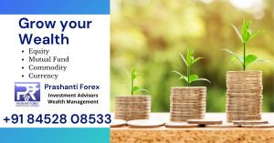 Wholesale Financial Consulting: Grow Your Wealth with Experienced Professionals