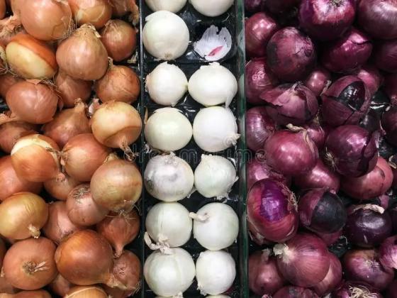 Sell Fresh Indian onion from Nashik,Maharashtra,India with affordable prices