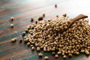 Wholesale cleaning chemicals: Coriander Seed