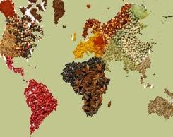 Wholesale spices: *** Herbs - Spices - Teas - CERTIFIED USDA From EU ***