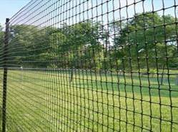 Sell Plastic square mesh,garden mesh,bird netting,deer fence