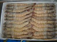 Sell High Quality dried shrimps
