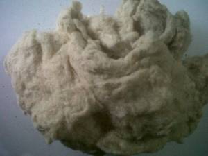 Wholesale textile waste: Cotton Linter