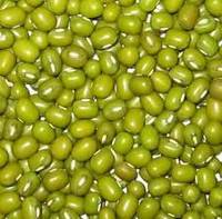 Sell Green Mung Bean Bold 