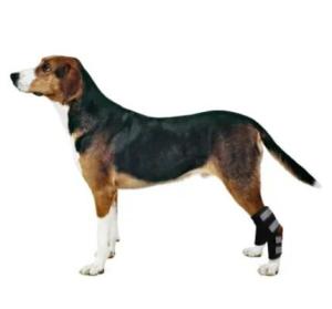 Wholesale pet products: Dog Ankle Brace