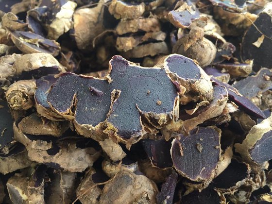 Dried Black Ginger Kaempferia Parviflora Krachaidam Id Buy Thailand Dried Black Ginger Kaempferia Parviflora Krachaidam Ec21