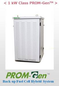 Wholesale thermal storage tank: Fuel Cell System