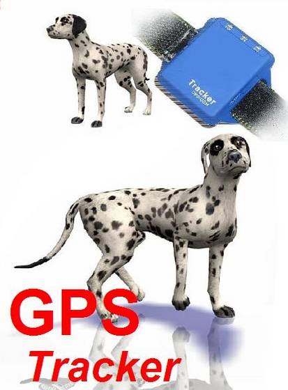 PET GPS Tracking Devices - Proteck Technology(HK)Limited