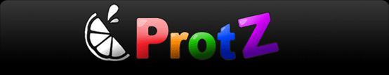 ProtZ Company Logo