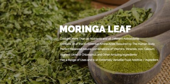 Sell Moringa Leaf Powder