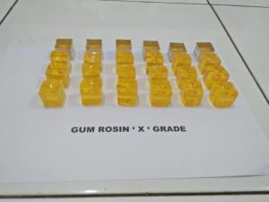 Wholesale pine gum rosin: Gum Rosin Indonesia (PM-002)