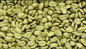 Wholesale arabica: Arabica Coffee Beans/Robusta Coffee Beans