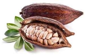 Wholesale healthy drinks: Cocoa Beans Ariba Cacao Beans Dried Raw Cacao Fermented Cocoa Beans/Organic Roasted Cacao Beans