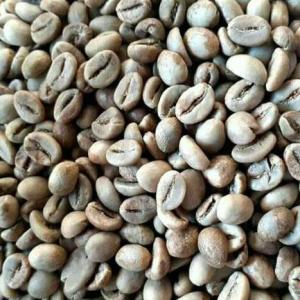 Wholesale Coffee Beans: Robusta Temanggung Grade 1