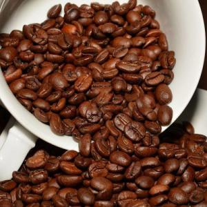 Wholesale good price &: Roasted Robusta Coffee Bean From Vietnam - High Quality, Good Price (HuuNghi Fruit)