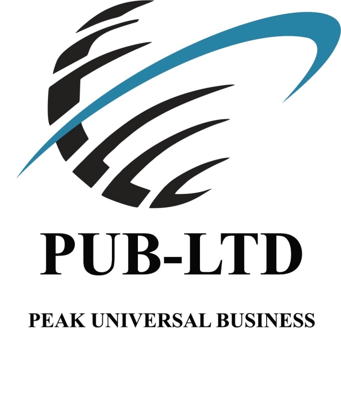 Peak Universal Business Company Logo