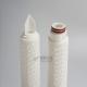 Sell PBT Polyester Membrane Filter Cartridge
